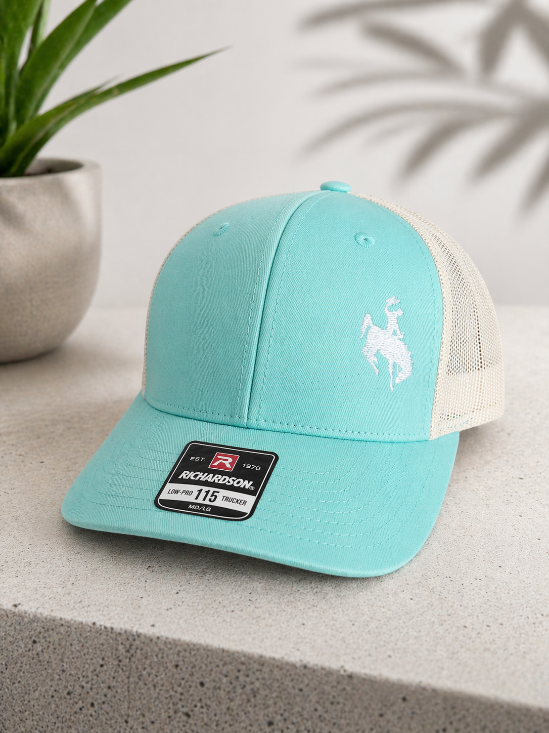 Cowboy Hat