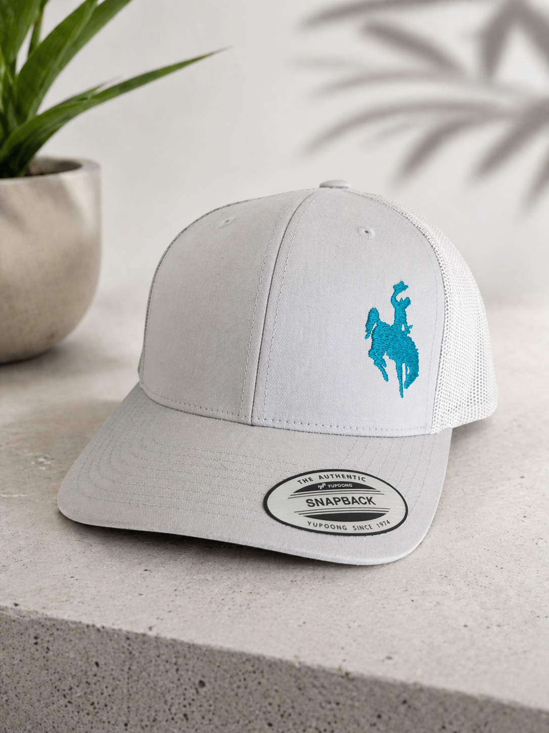 Cowboy Hat