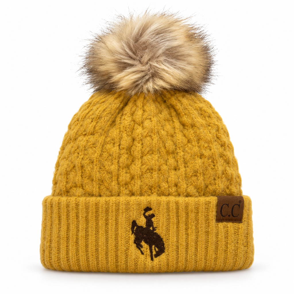 Steamboat CC Beanie